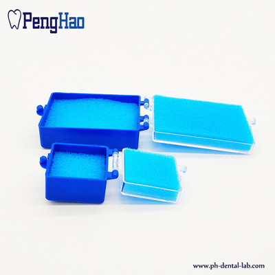 China Plastic denture box with sponge/dental retainer case/plastic membrane box supplier