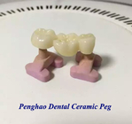 ( Hole )Dental Lab Ceramic Peg/ Single Pointed Teeth Burning Rack