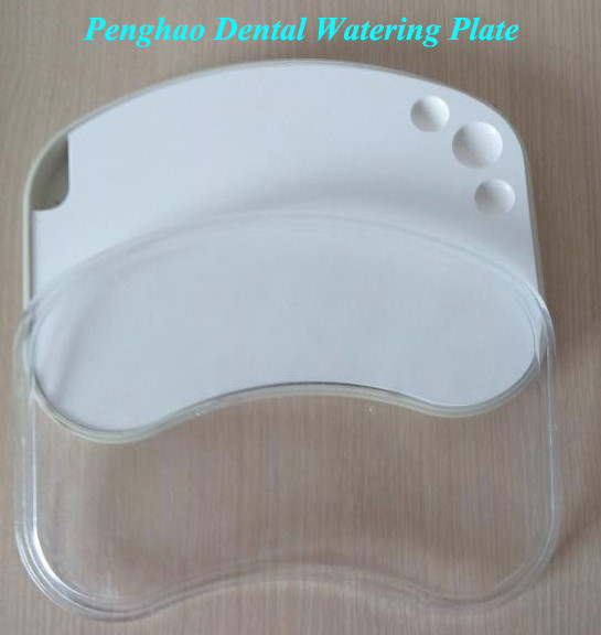 Large Model Dental ceramic watering plate( wet tray)